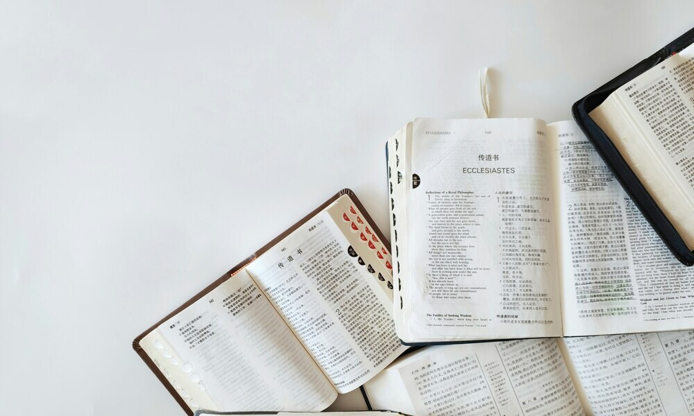 chris-liu-_yhH8zZthmY-unsplash (1) (1)